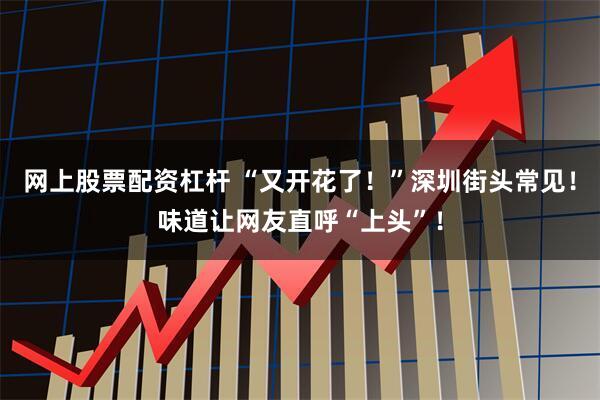 网上股票配资杠杆 “又开花了!”深圳街头常见!味道让网友直呼“上头”!